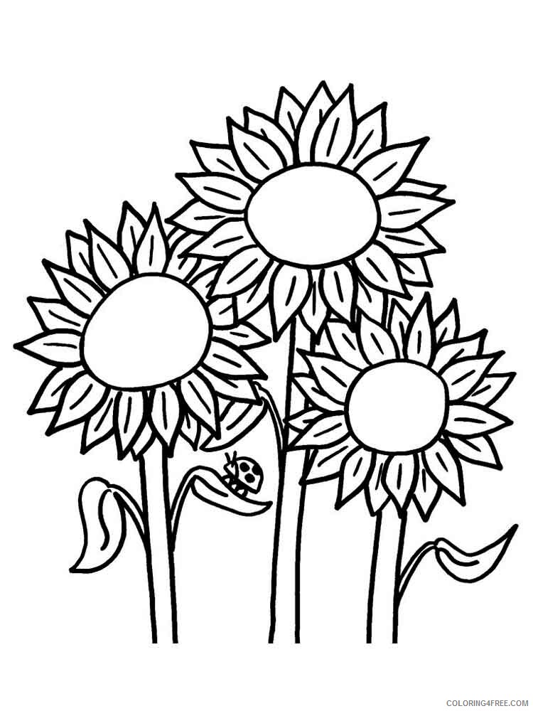 Sunflower Coloring Pages Nature Sunflower flower 3 Printable 2021 736 Coloring4free