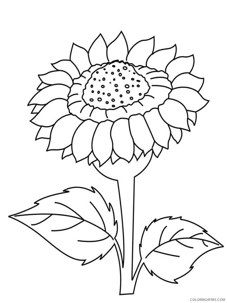 Sunflower Coloring Pages Nature Sunflower flower 9 Printable 2021 738 Coloring4free