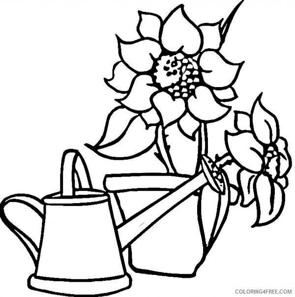 Sunflower Coloring Pages Nature Watering Can and Beautiful Printable 2021 741 Coloring4free