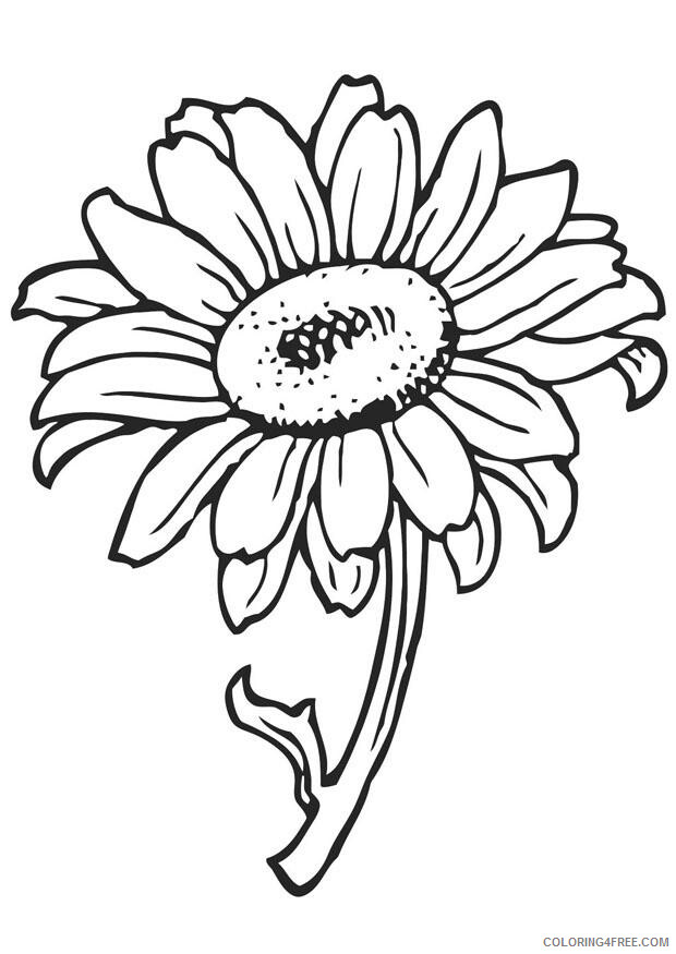 Sunflower Coloring Pages Nature sunflower to Printable 2021 740 Coloring4free