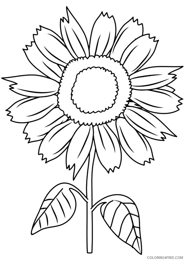 Sunflower Coloring Pages Nature sunny smile sunflower Printable 2021 723 Coloring4free