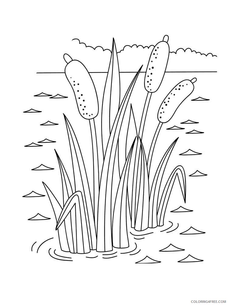Swamp Coloring Pages Nature swamp 11 Printable 2021 743 Coloring4free