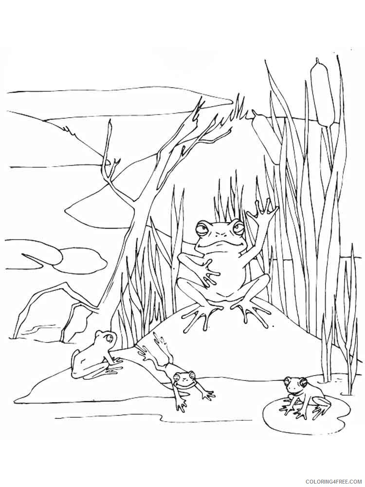 Swamp Coloring Pages Nature swamp 3 Printable 2021 747 Coloring4free