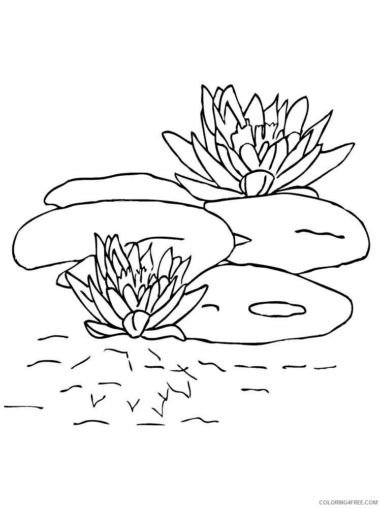 Swamp Coloring Pages Nature swamp 5 Printable 2021 748 Coloring4free