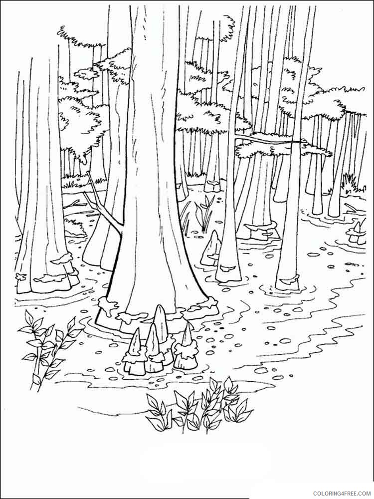Swamp Coloring Pages Nature swamp 8 Printable 2021 749 Coloring4free