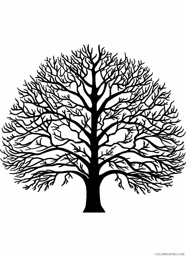 Tree Stencils Coloring Pages Tree Nature tree stencils 22 Printable 2021 714 Coloring4free
