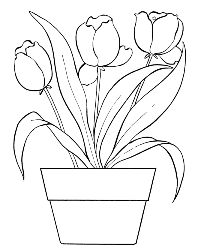 Tulips Coloring Pages Flowers Nature May Tulips Printable 2021 488 Coloring4free