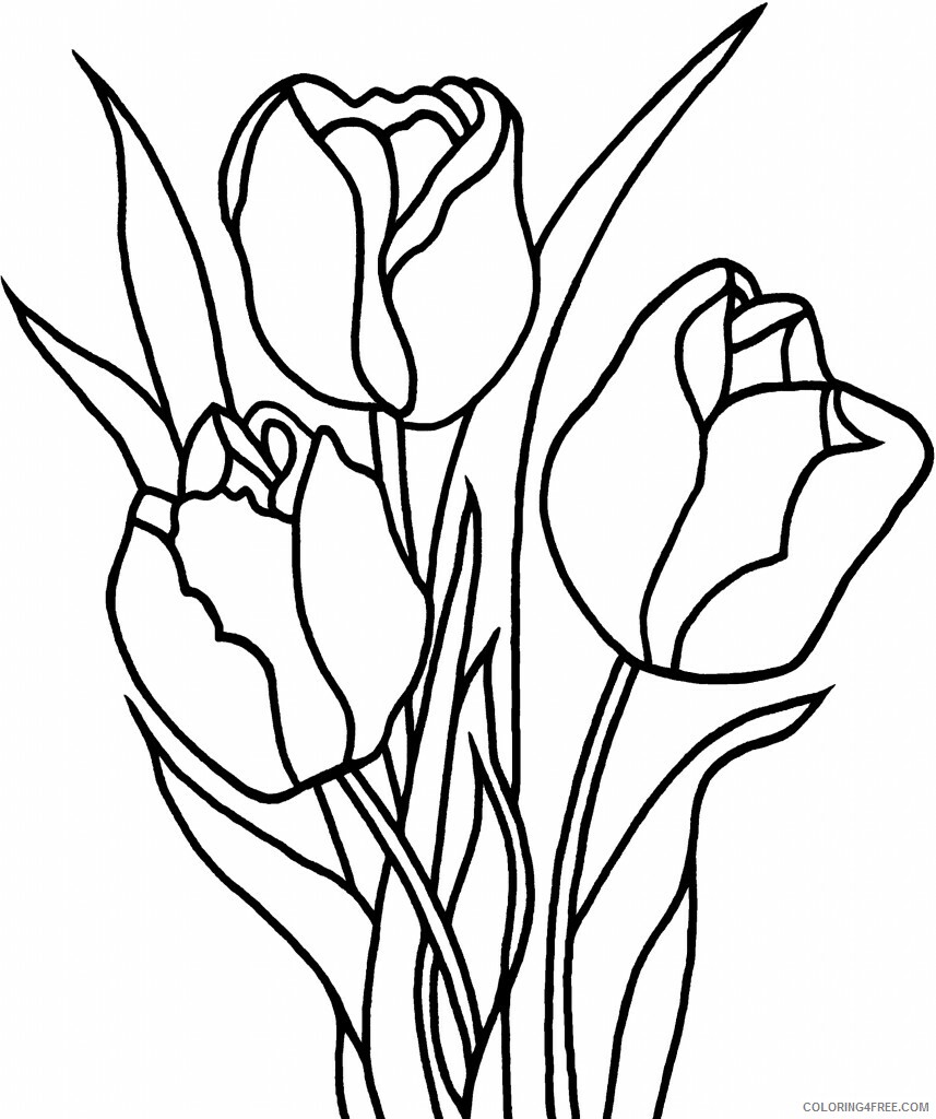 Tulips Coloring Pages Flowers Nature Printable Tulip For Kids Printable 2021 490 Coloring4free