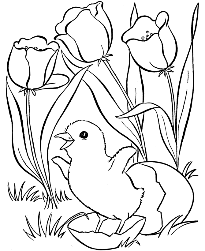 Tulips Coloring Pages Flowers Nature Spring Tulips and Egg Printable 2021 491 Coloring4free