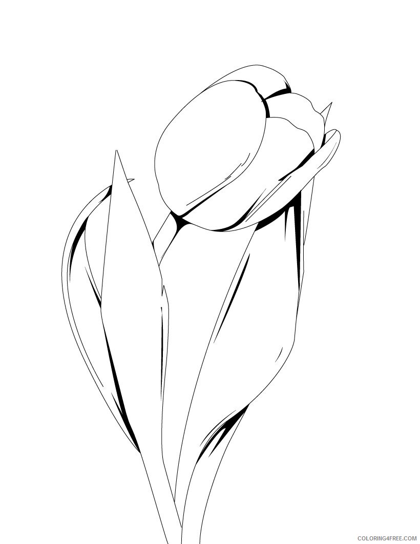 Tulips Coloring Pages Flowers Nature Tulip For Kids Printable 2021 494 Coloring4free