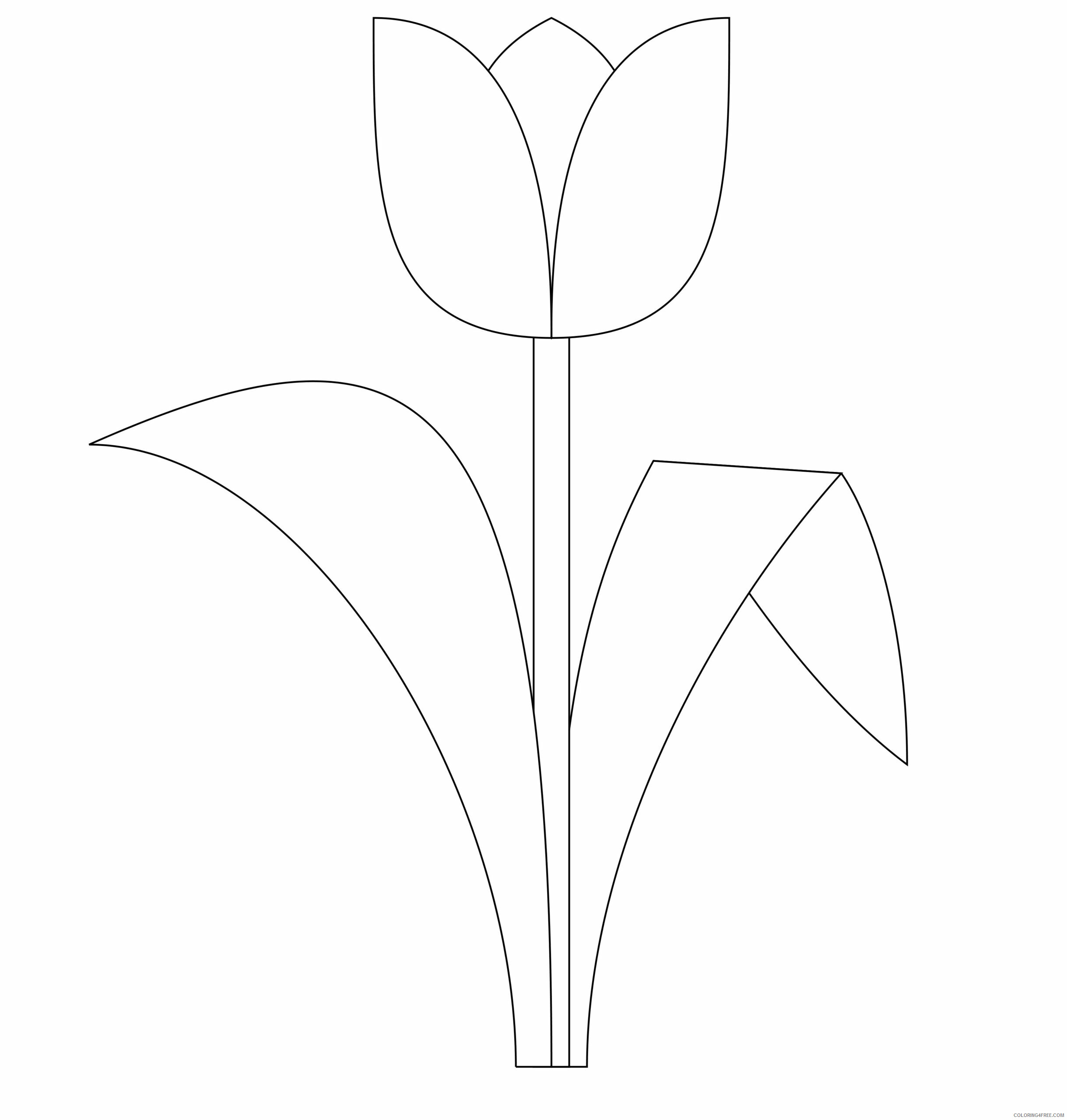 Tulips Coloring Pages Flowers Nature Tulip Printable 2021 493 Coloring4free