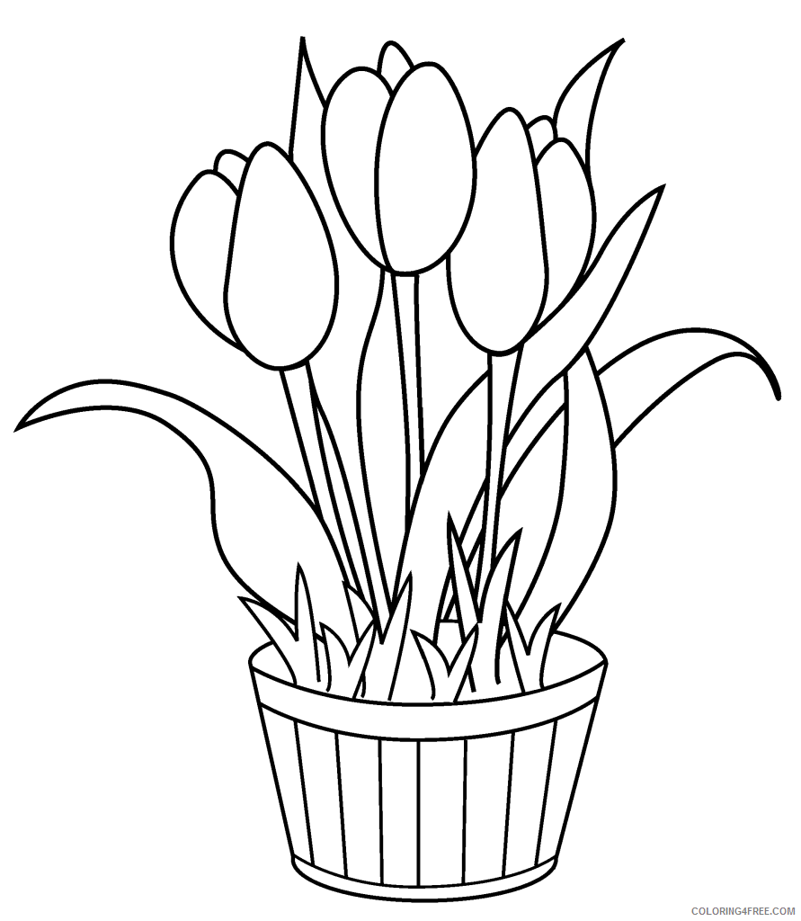 Tulips Coloring Pages Flowers Nature Tulip Printable 2021 498 Coloring4free