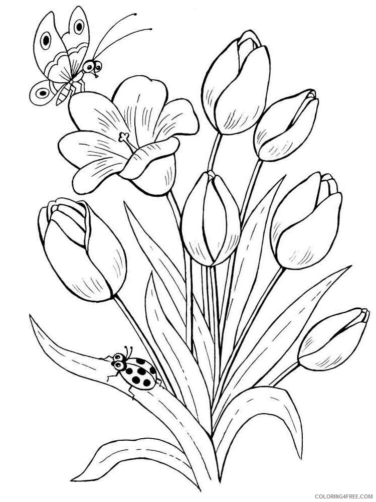 Tulips Coloring Pages Flowers Nature tulip flower 10 Printable 2021 500 Coloring4free