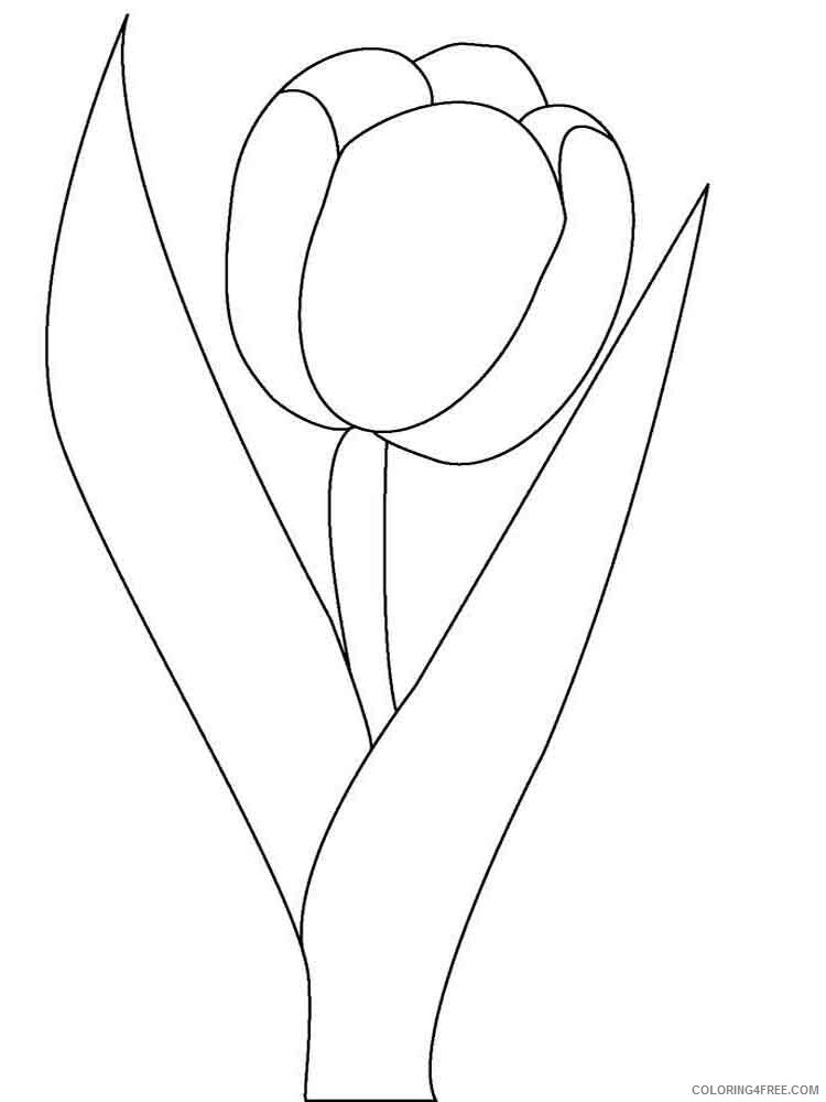Tulips Coloring Pages Flowers Nature tulip flower 13 Printable 2021 501 Coloring4free