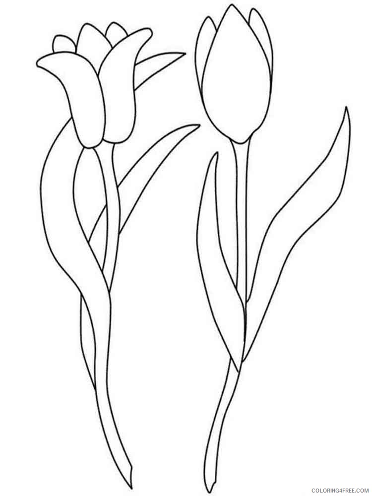 Tulips Coloring Pages Flowers Nature tulip flower 5 Printable 2021 504 Coloring4free