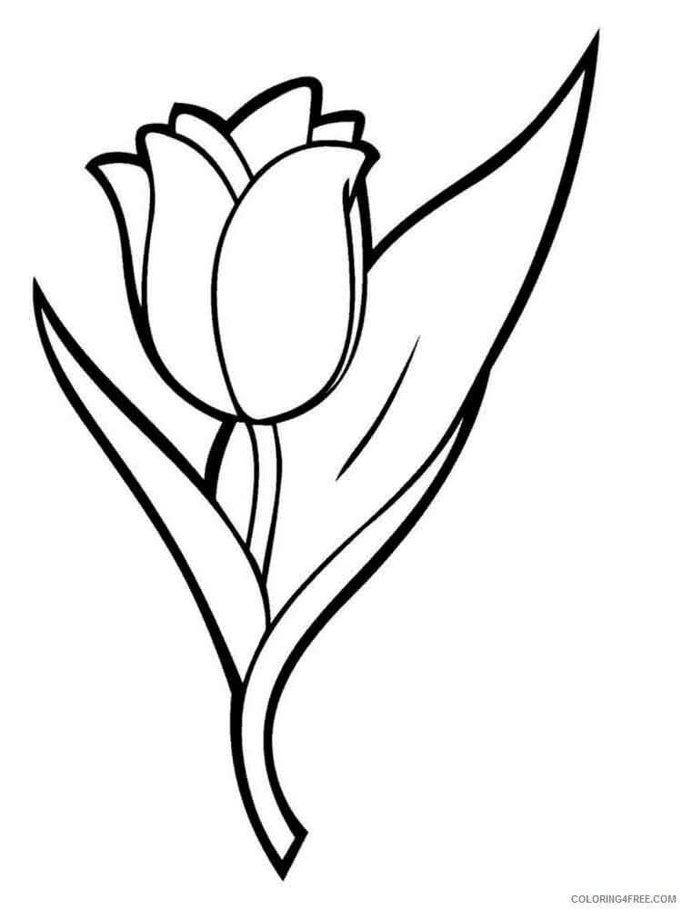 Tulips Coloring Pages Flowers Nature tulip flower 7 Printable 2021 505 Coloring4free