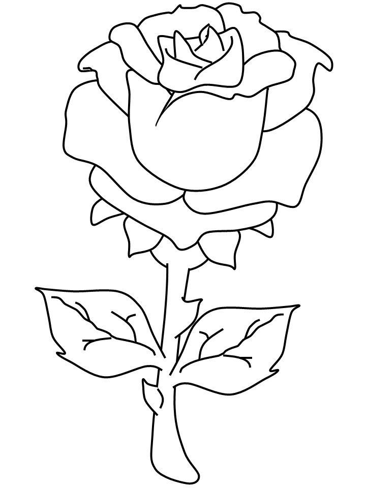 Valentines Day Coloring Pages Holiday rose Printable 2021 0979 Coloring4free