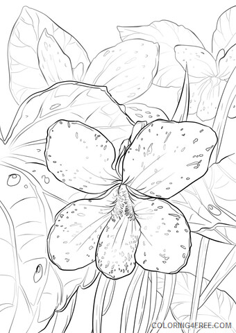 Violet Coloring Pages Flowers Nature 1527064682_blue violet Printable 2021 506 Coloring4free