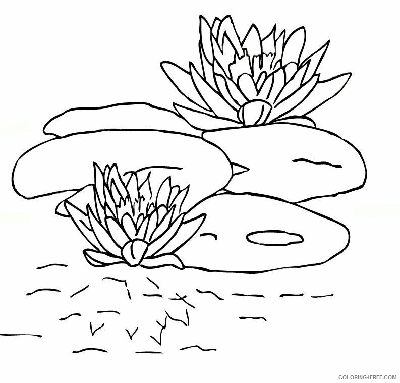 Water Lily Coloring Pages Flowers Nature Water Lily Printable 2021 515 Coloring4free