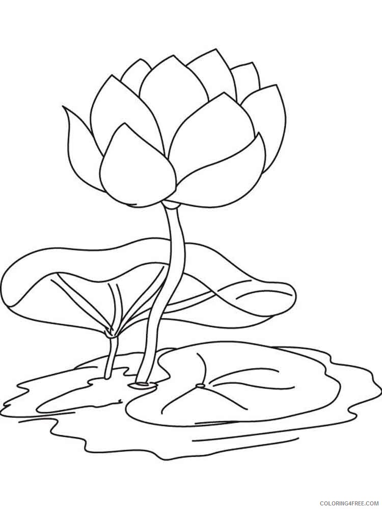 Water Lily Coloring Pages Flowers Nature Water lily flower 10 Printable 2021 510 Coloring4free