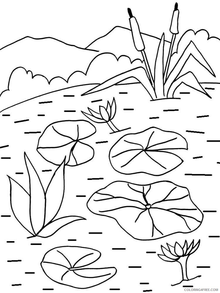 Water Lily Coloring Pages Flowers Nature Water lily flower 5 Printable 2021 512 Coloring4free
