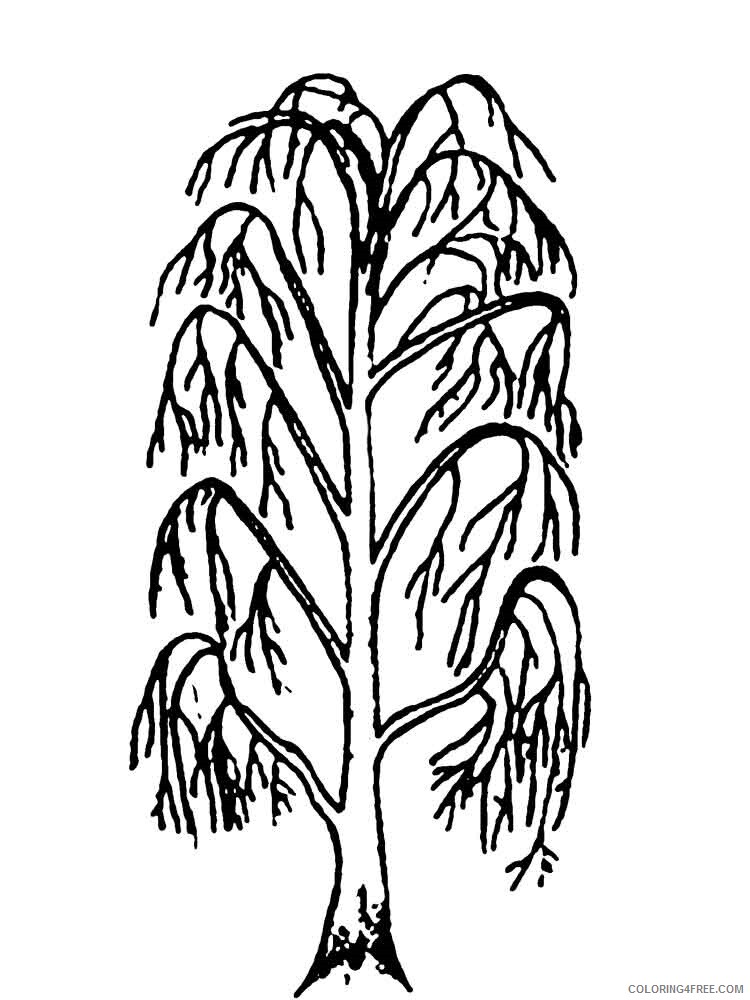Willow Tree Coloring Pages Tree Nature willow tree 4 Printable 2021 722 Coloring4free