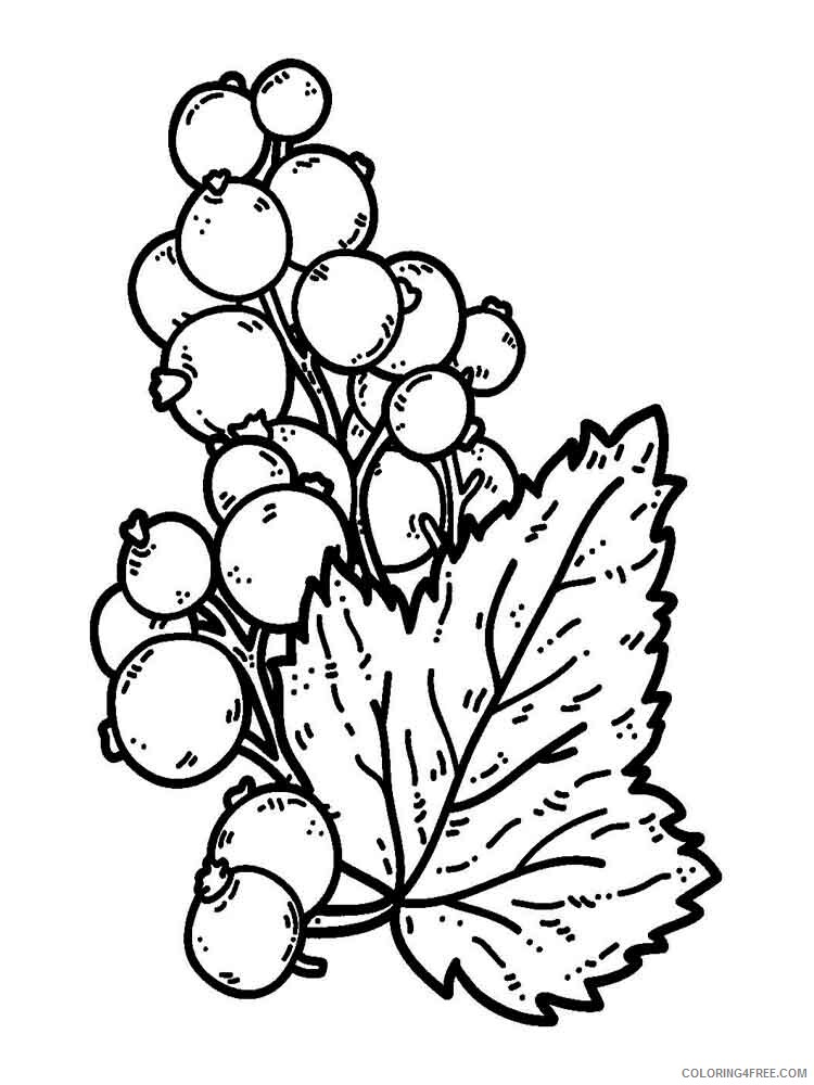 currant Coloring Pages Berries Fruits currant berries 1 Printable 2021 118 Coloring4free
