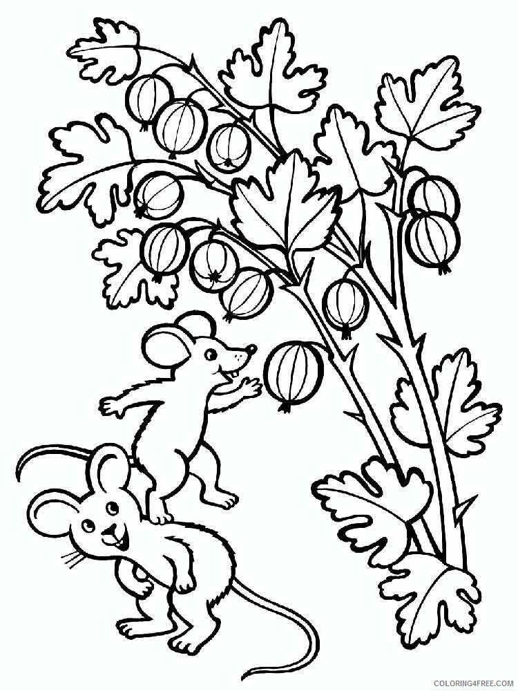 gooseberry Coloring Pages Berries Fruits gooseberry berries 1 Printable 2021 121 Coloring4free