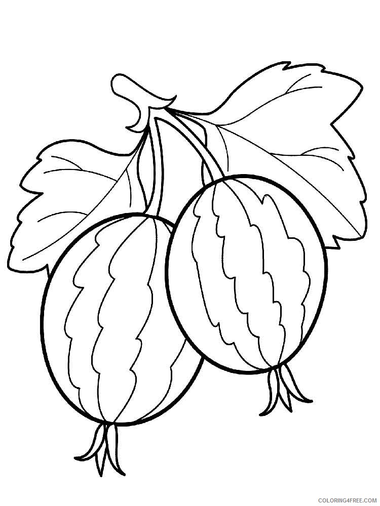 gooseberry Coloring Pages Berries Fruits gooseberry berries 2 Printable 2021 122 Coloring4free
