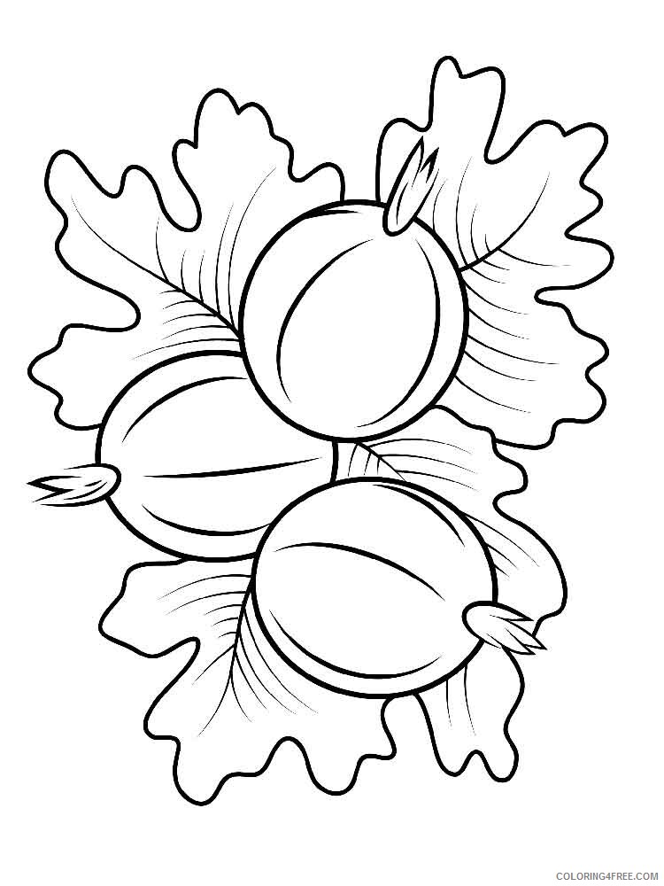 gooseberry Coloring Pages Berries Fruits gooseberry berries 6 Printable 2021 126 Coloring4free