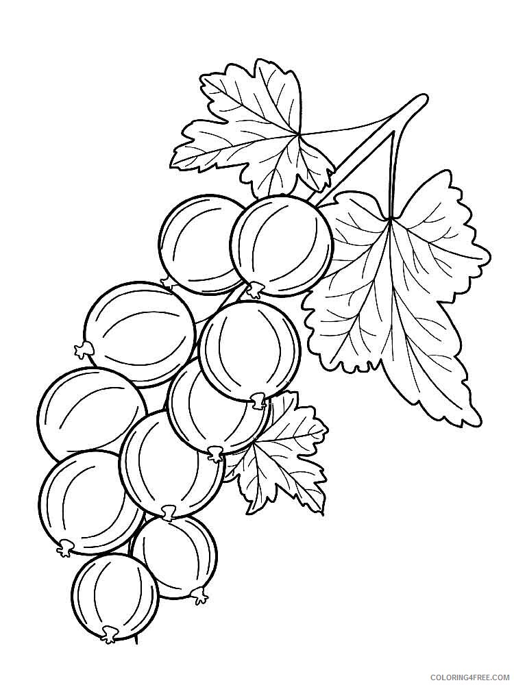 gooseberry Coloring Pages Berries Fruits gooseberry berries 7 Printable 2021 127 Coloring4free