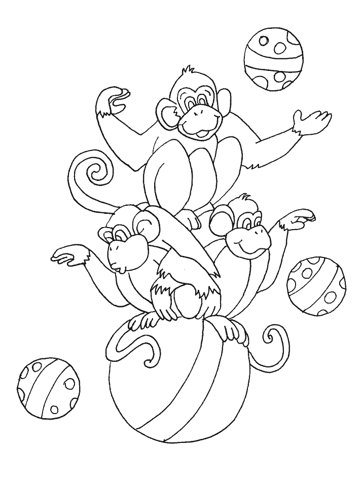 Circus Coloring Pages 5 Printable 2021 1533 Coloring4free