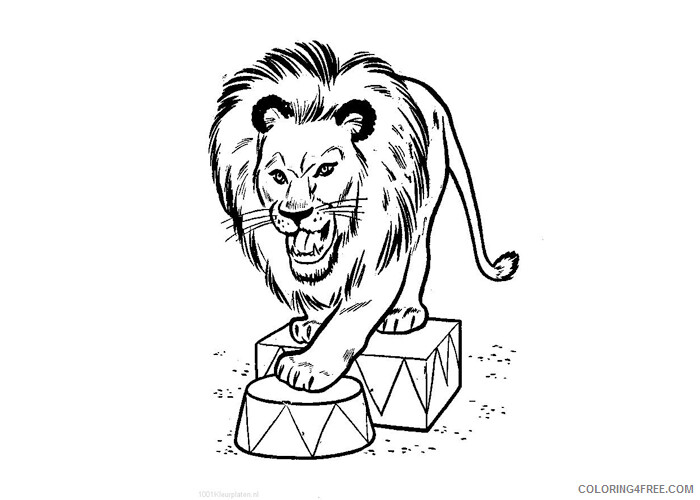 Circus Coloring Pages Circus lion 2 Printable 2021 1599 Coloring4free