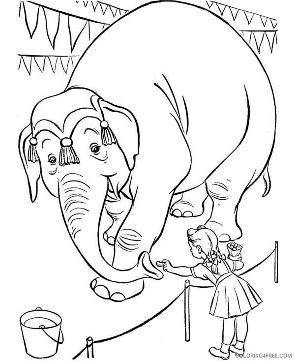 Circus Coloring Pages Little Girl Feed an Circus Elephant Printable 2021 1612 Coloring4free