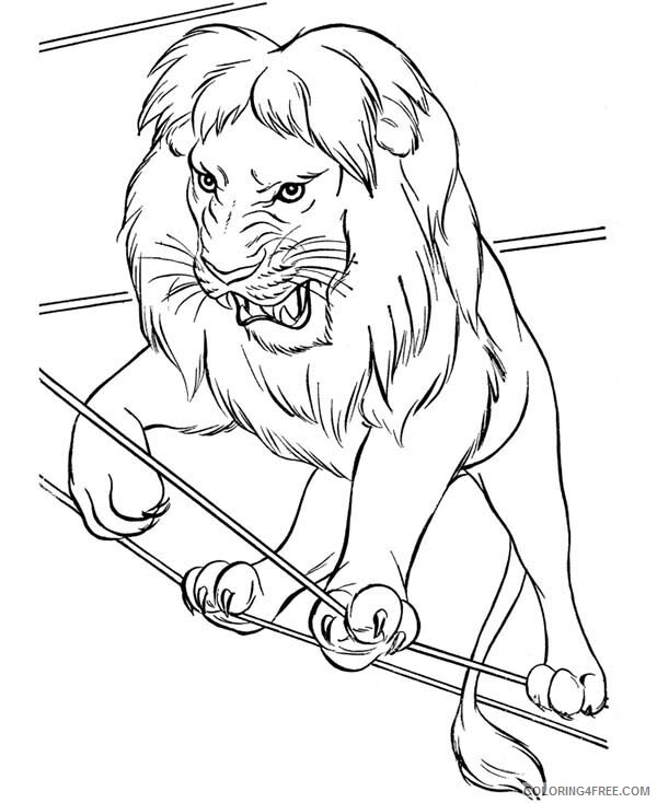 Circus Coloring Pages Picture of Lion Circus Printable 2021 1613 Coloring4free