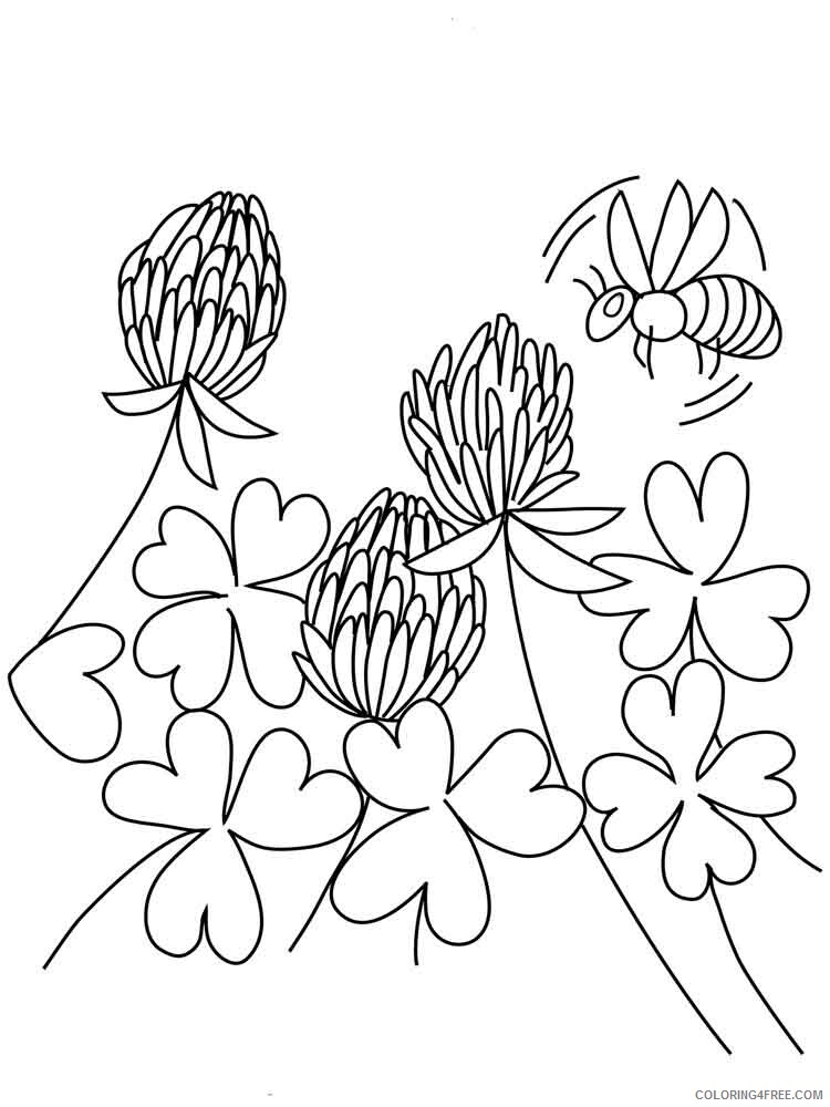 Clover Coloring Pages Clover 2 Printable 2021 1735 Coloring4free