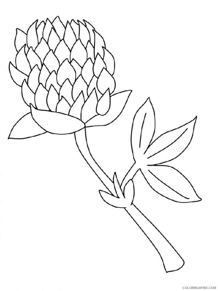 Clover Coloring Pages Clover 9 Printable 2021 1741 Coloring4free