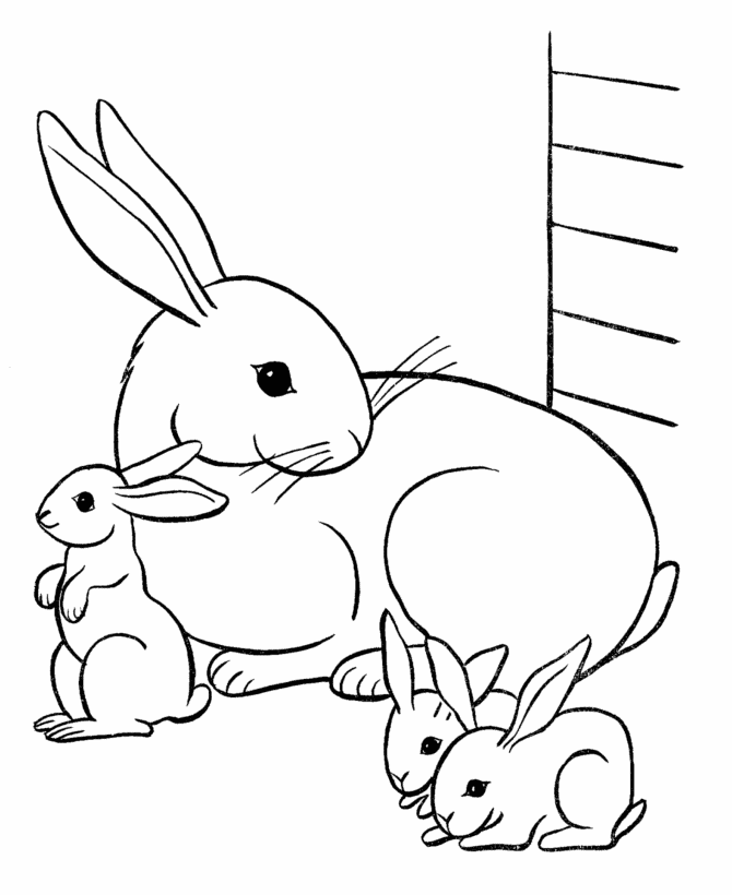 Family Coloring Pages Pet Rabbit Family Printable 2021 2479 Coloring4free
