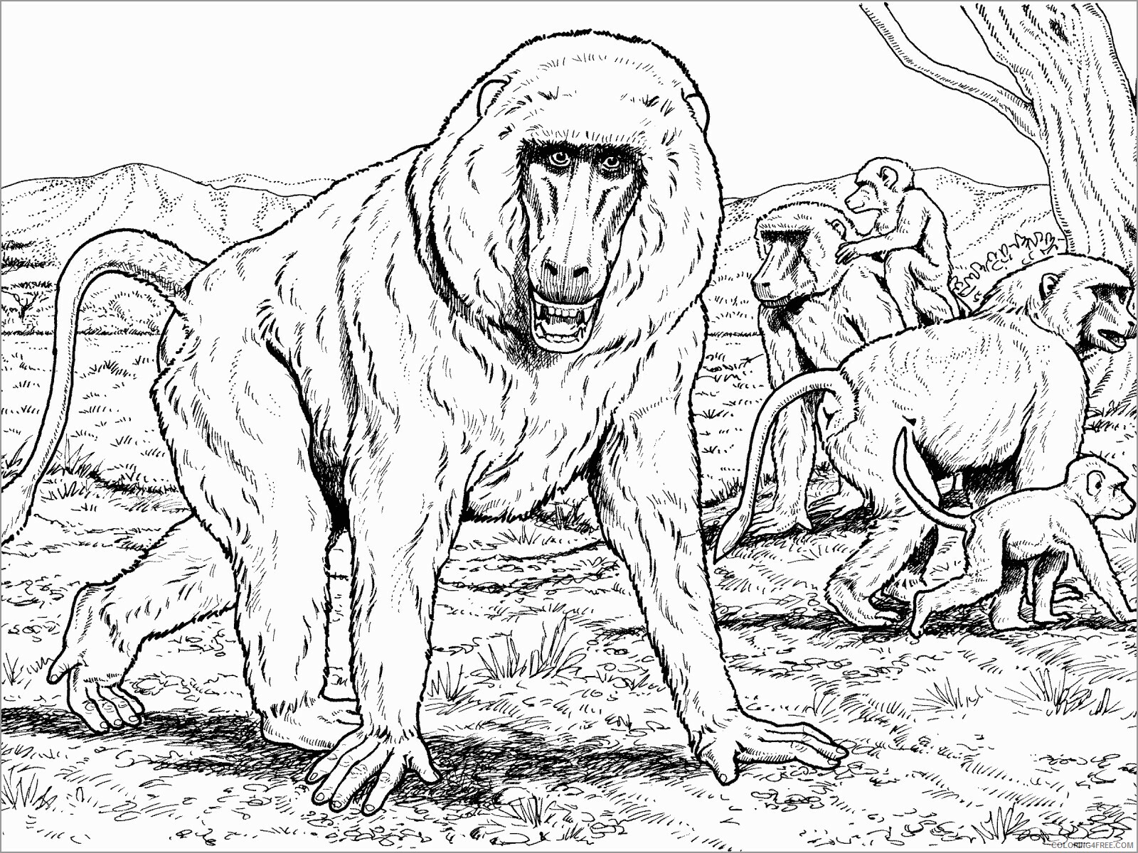 Family Coloring Pages baboon family Printable 2021 2432 Coloring4free