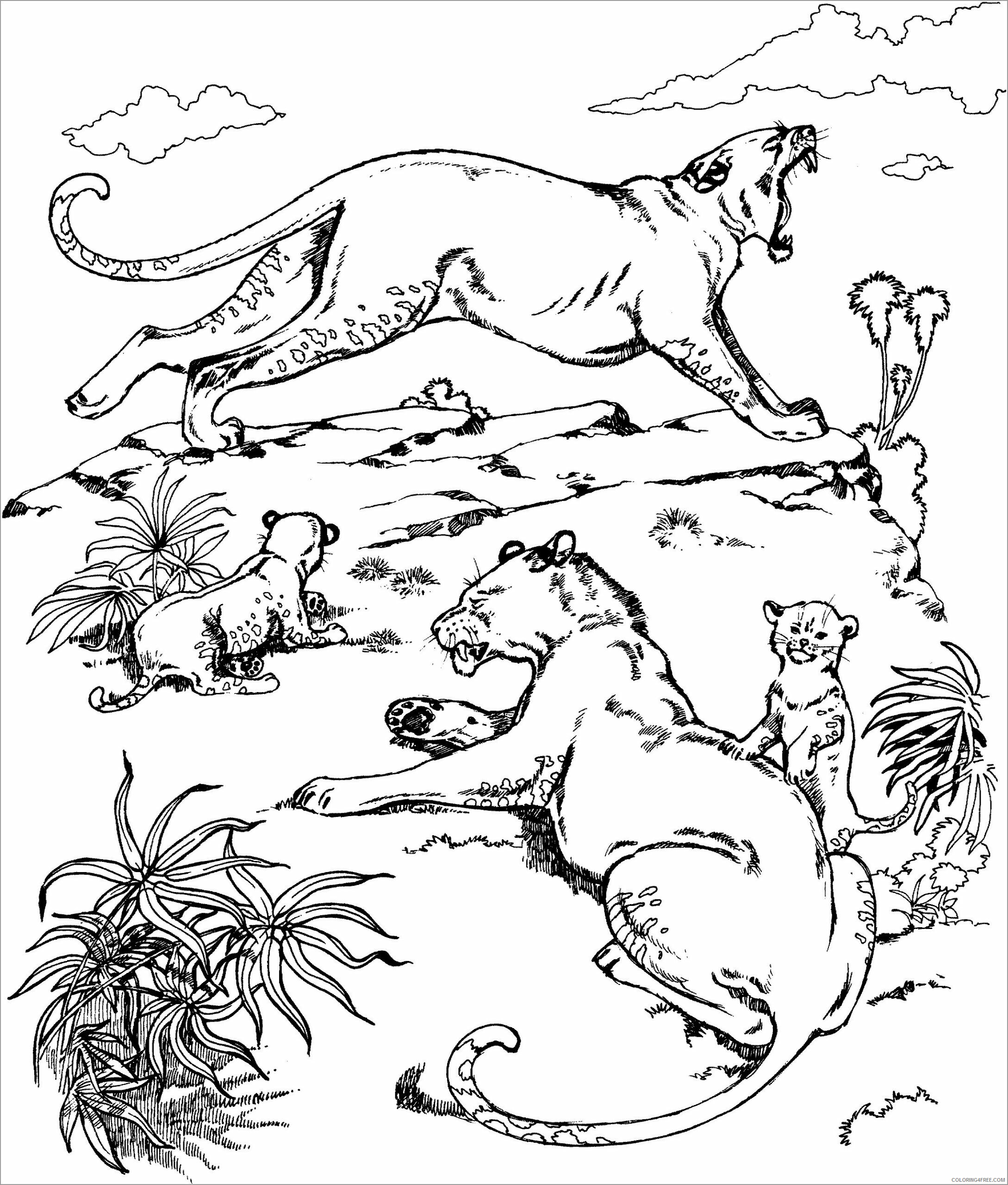 Family Coloring Pages cougar family Printable 2021 2434 Coloring4free