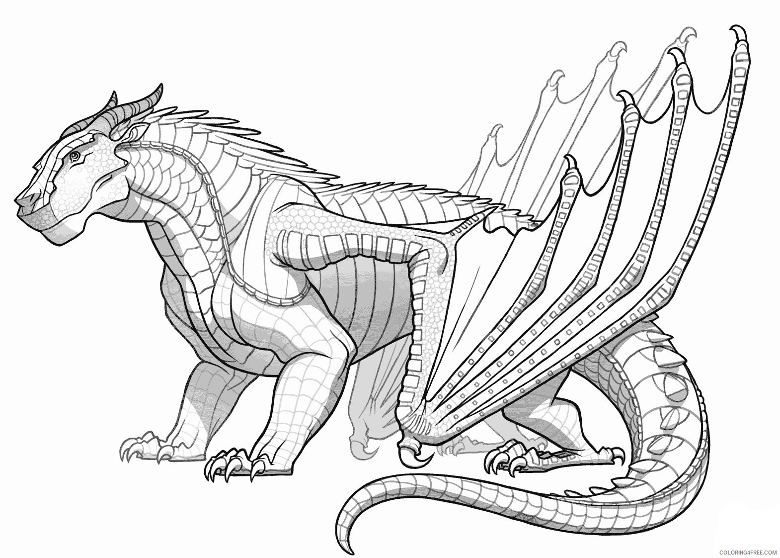 Fantasy Dragons Coloring Pages Printable Adult Dragon Printable 2021 2594 Coloring4free Coloring4free Com