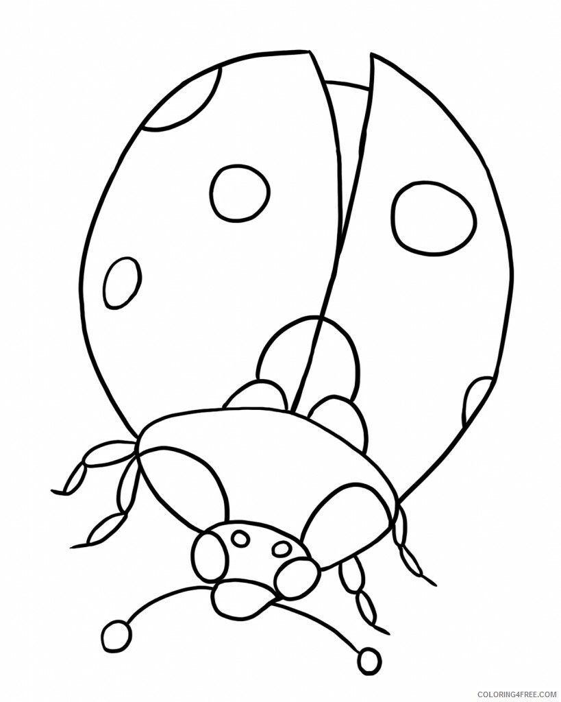 Preschool Animal Coloring Pages Ladybug for Preschoolers Printable 2021 4859 Coloring4free