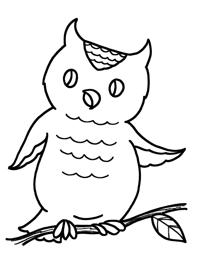 Preschool Animal Coloring Pages Owl for Preschoolers Printable 2021 4864 Coloring4free