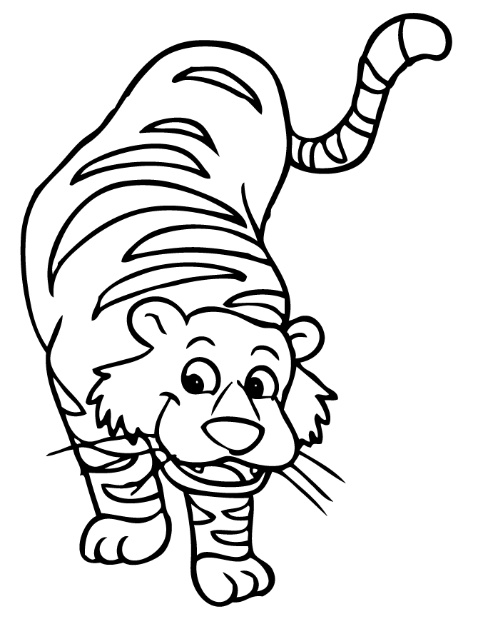 Preschool Animal Coloring Pages Tiger for Preschool Printable 2021 4876 Coloring4free