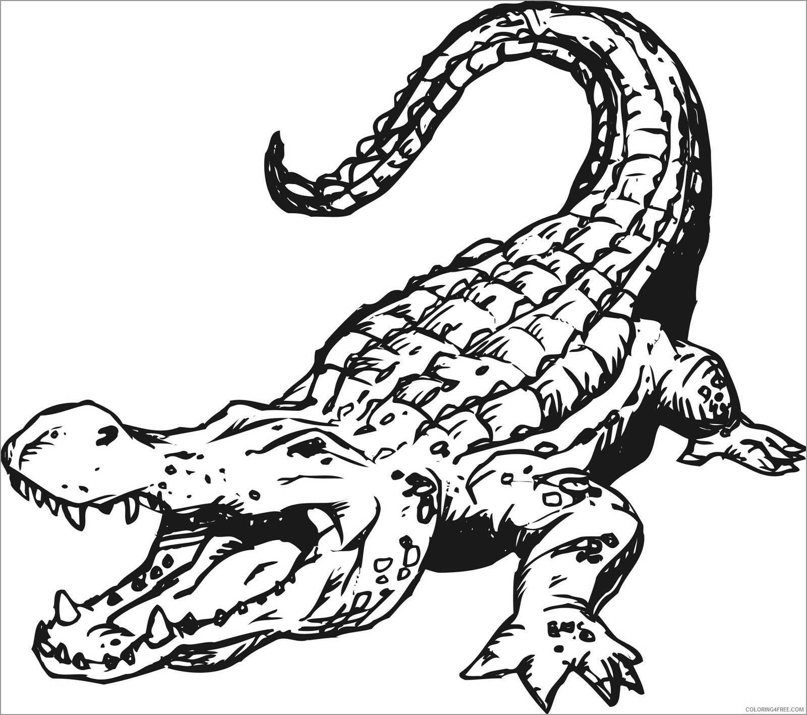 Preschool Animal Coloring Pages alligator preschool Printable 2021 4832 Coloring4free