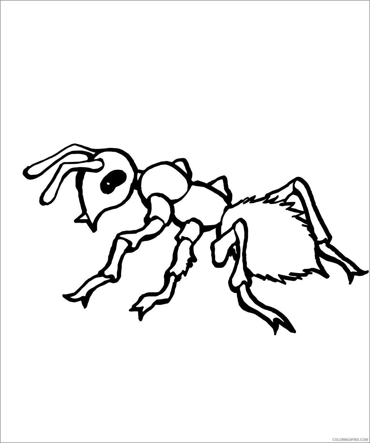 Preschool Animal Coloring Pages ant for preschoolers Printable 2021 4833 Coloring4free
