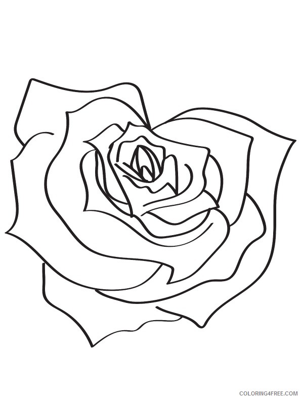 Rose and Heart Coloring Pages the heart shaped rose 16 a4 Printable 2021 5130 Coloring4free