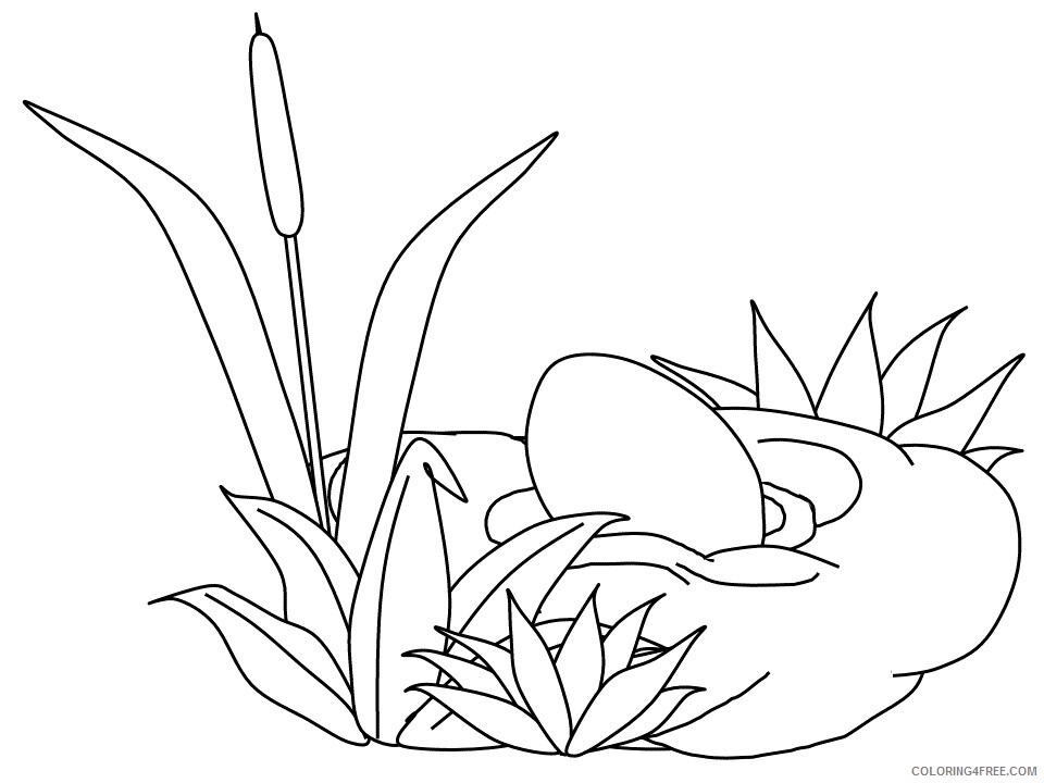 Ugly Duckling Coloring Pages 1 Printable 2021 6003 Coloring4free