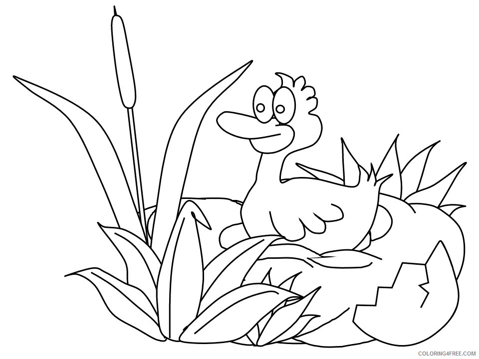 Ugly Duckling Coloring Pages 2 Printable 2021 6005 Coloring4free