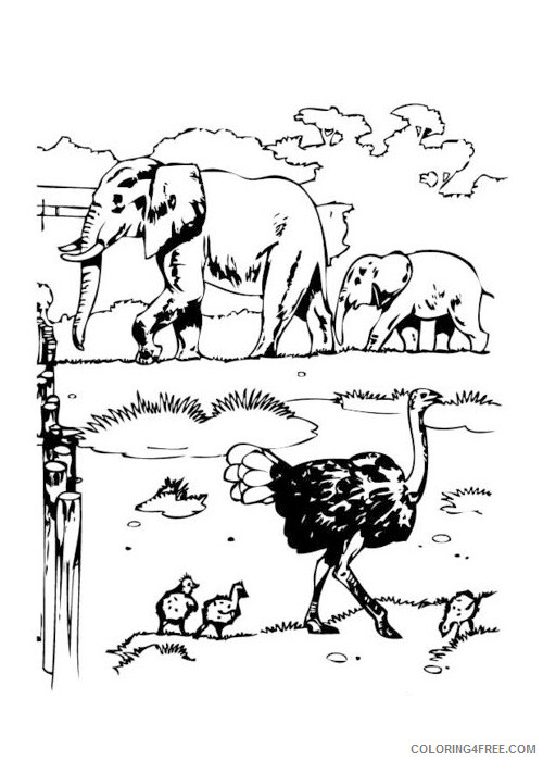 African Animals Coloring Pages Animal Printable Sheets African animals 2021 0002 Coloring4free
